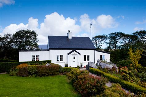 dog house sitting northern ireland.